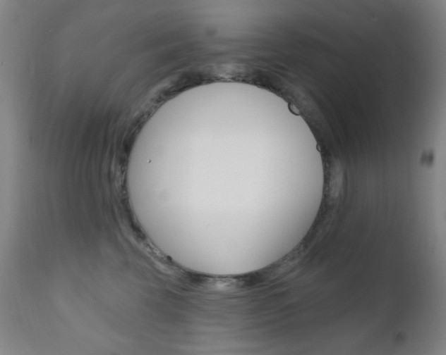 X0000110940569200906191053