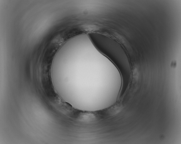 X0000110940572200906191053