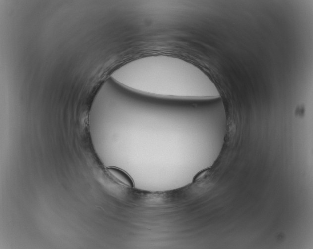 X0000110940574200906191053