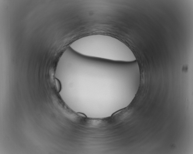 X0000110940575200906191053