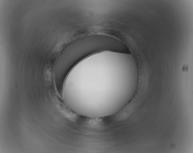 X0000110940576200906191053