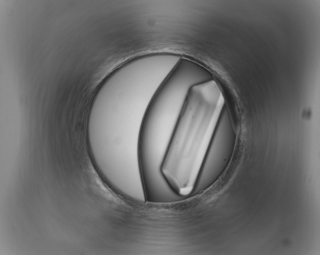 X0000110940577200906191052