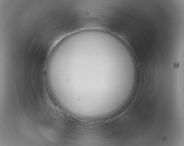 X0000110940579200906191052