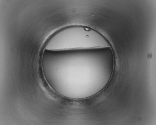 X0000110940580200906191052
