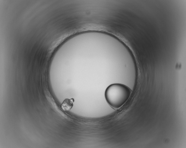 X0000110940581200906191052