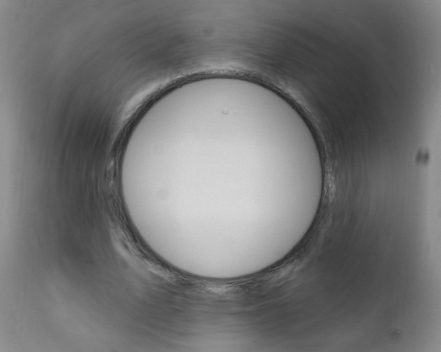 X0000110940583200906191052