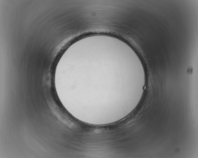 X0000110940584200906191052