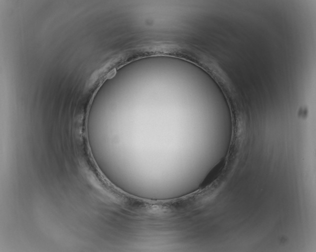 X0000110940585200906191052