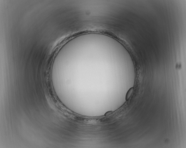 X0000110940587200906191052