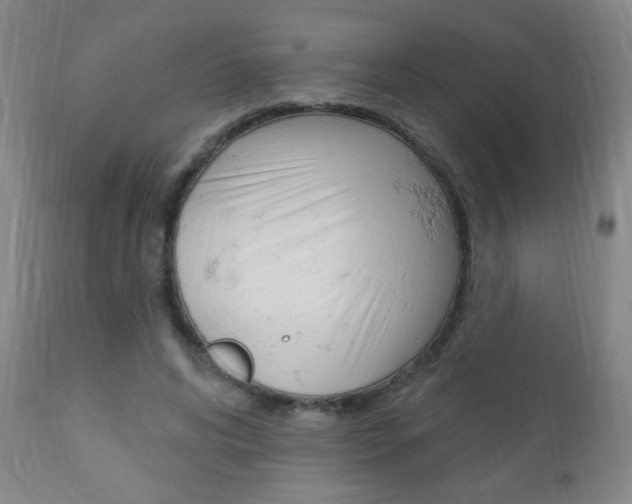 X0000110940592200906191052