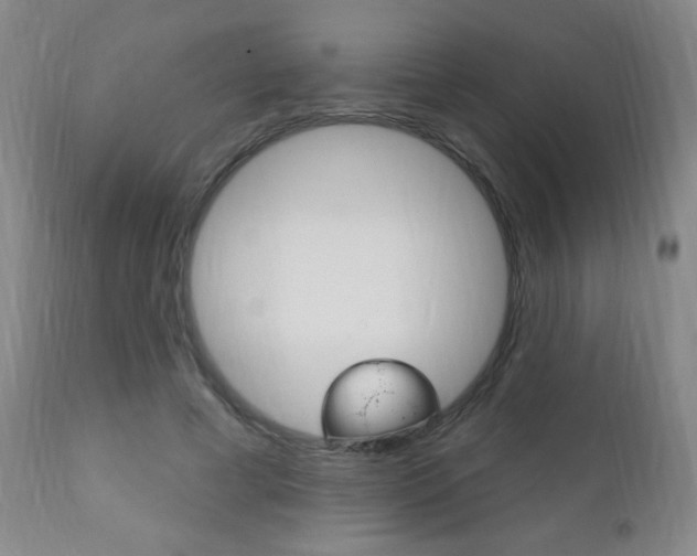 X0000110940593200906191052