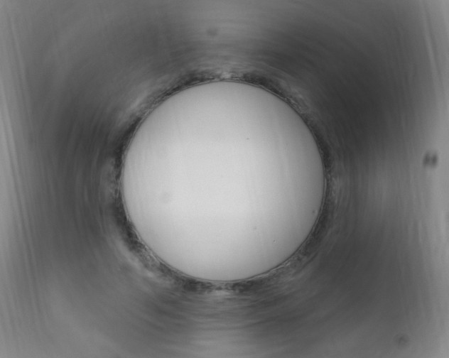 X0000110940594200906191052