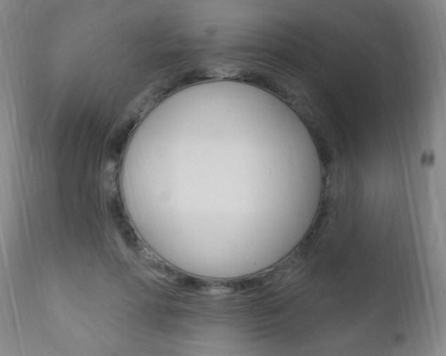 X0000110940598200906191052