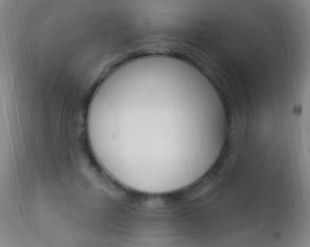 X0000110940600200906191052