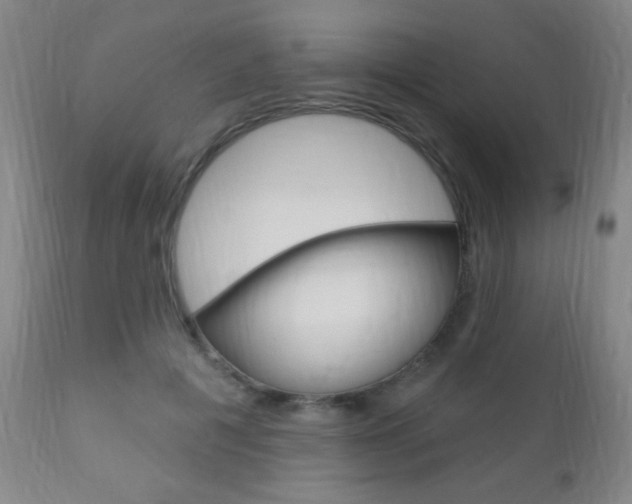 X0000110940601200906191052