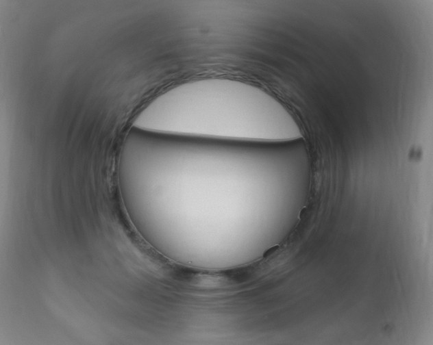 X0000110940605200906191052