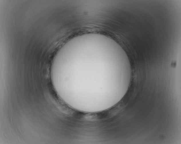 X0000110940606200906191052