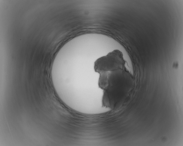 X0000110940609200906191052