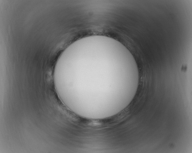 X0000110940610200906191052