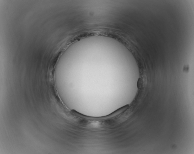 X0000110940611200906191052