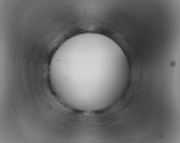 X0000110940612200906191052