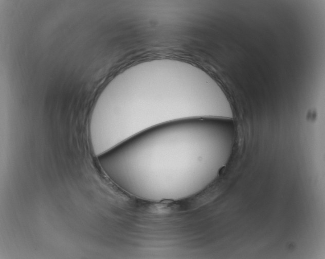 X0000110940613200906191052