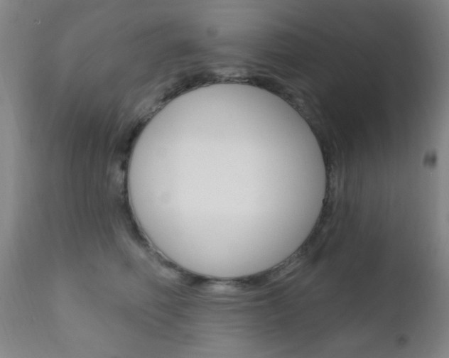 X0000110940614200906191052