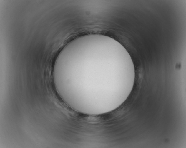 X0000110940615200906191052