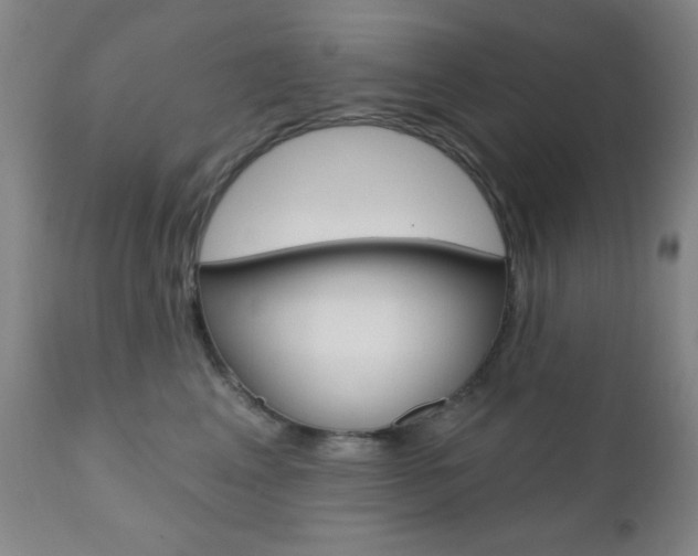 X0000110940617200906191052