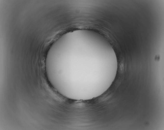 X0000110940620200906191052