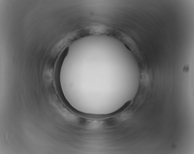 X0000110940621200906191052