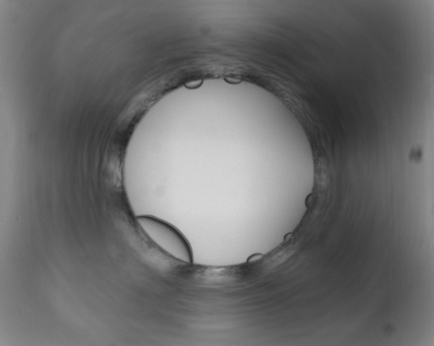 X0000110940622200906191052