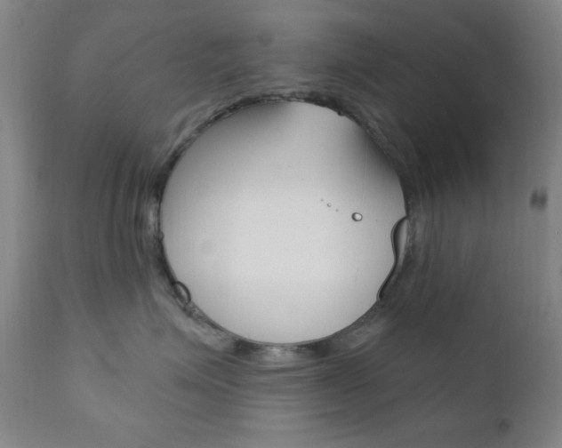 X0000110940623200906191052