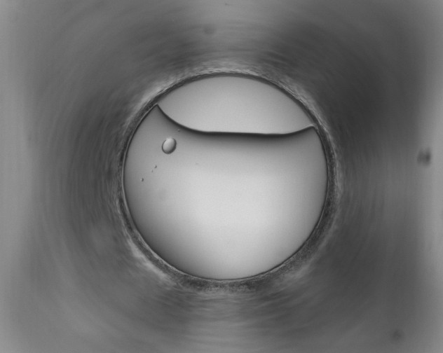 X0000110940625200906191051