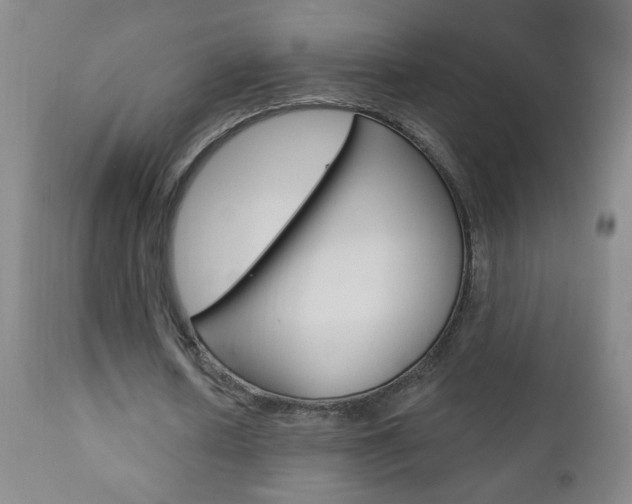 X0000110940626200906191051