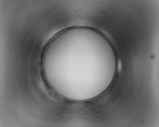 X0000110940627200906191051