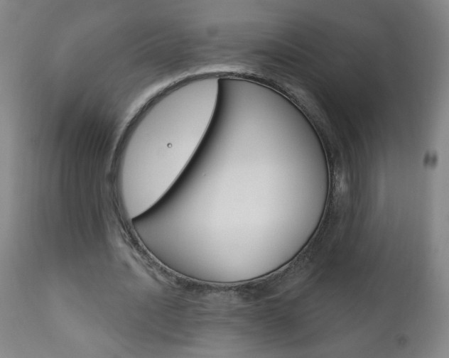 X0000110940628200906191051