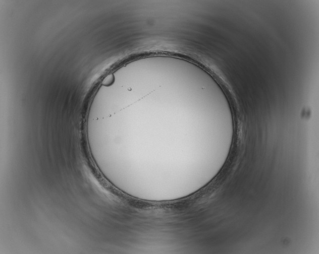 X0000110940629200906191051
