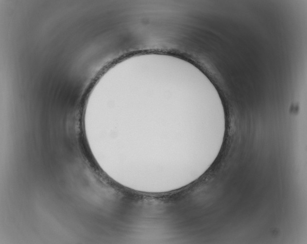 X0000110940632200906191051
