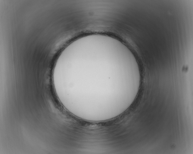 X0000110940635200906191051
