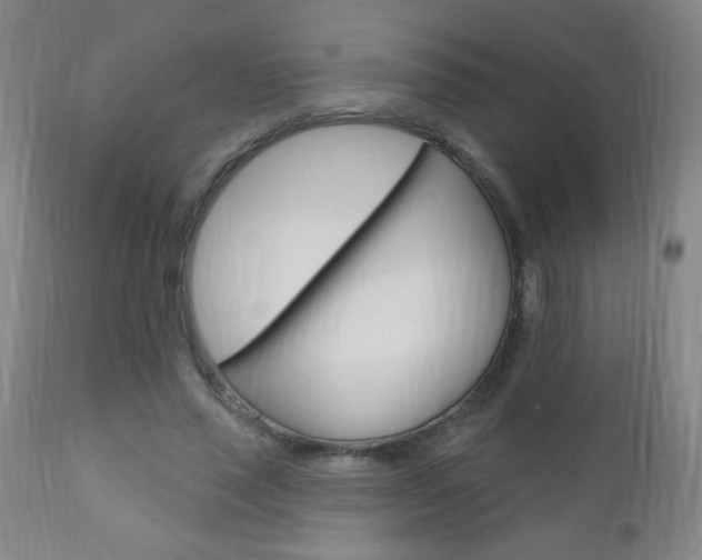 X0000110940637200906191051