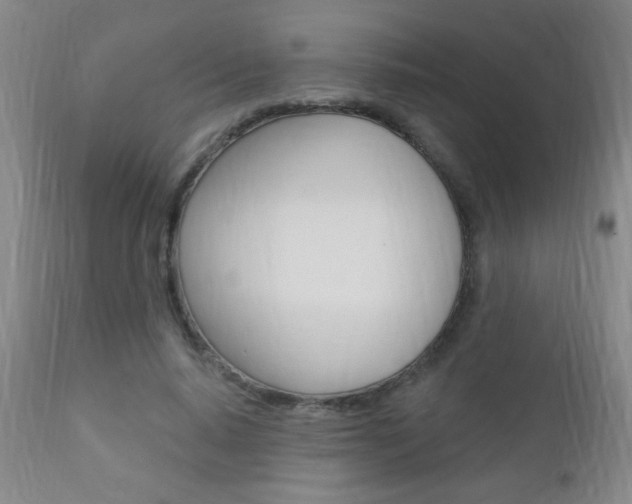 X0000110940640200906191051