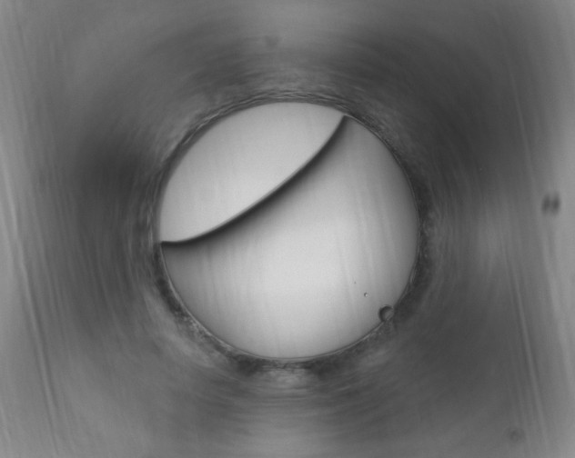 X0000110940642200906191051