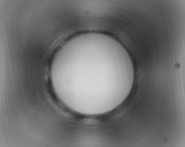 X0000110940644200906191051