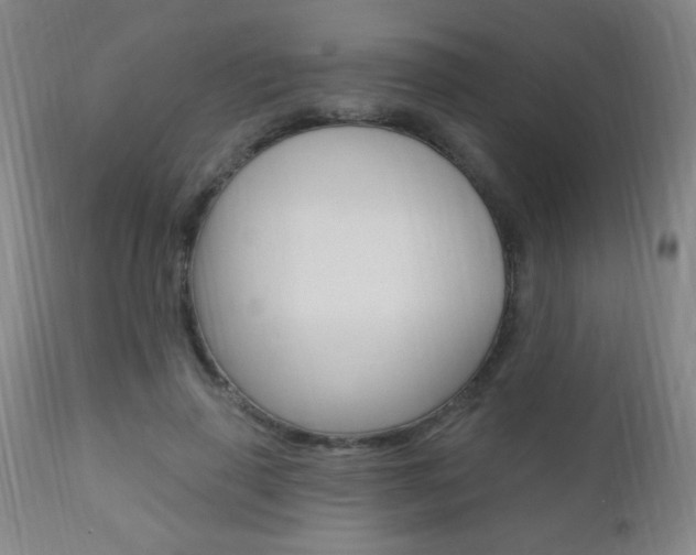X0000110940645200906191051