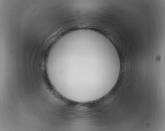 X0000110940648200906191051