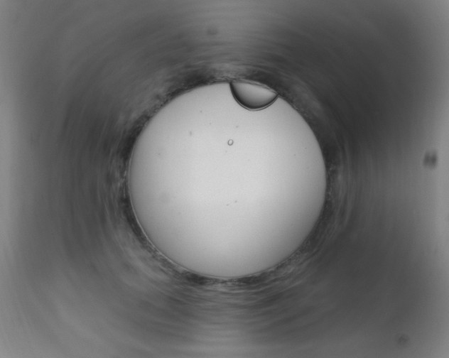 X0000110940655200906191051