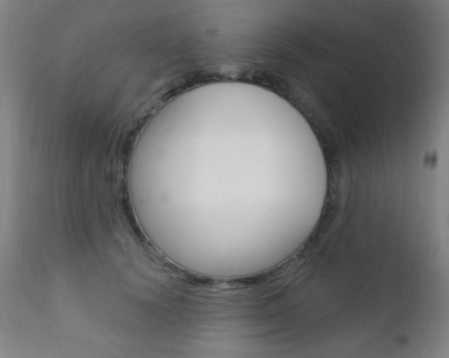 X0000110940656200906191051