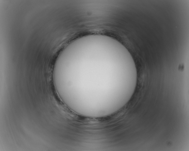 X0000110940658200906191051
