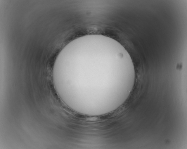 X0000110940659200906191051